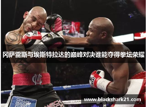 冈萨雷斯与埃斯特拉达的巅峰对决谁能夺得拳坛荣耀