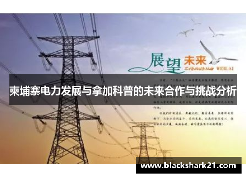 柬埔寨电力发展与拿加科普的未来合作与挑战分析