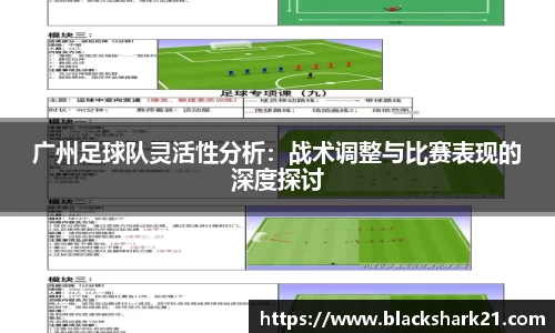 3377体育官网入口