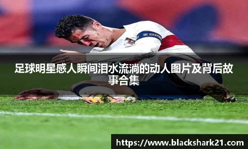 3377体育官网入口