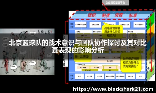 3377体育官网