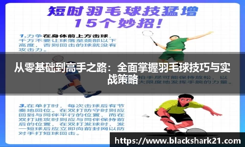 3377体育官网入口