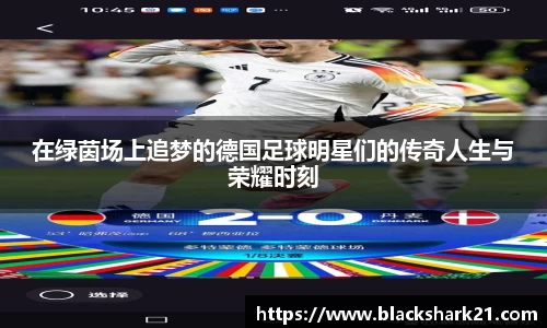 3377体育官网入口