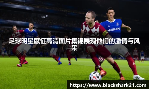 3377体育官网入口