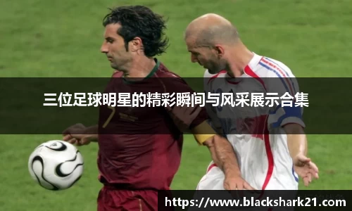 3377体育官网入口