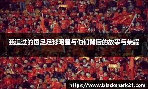 3377体育官网入口